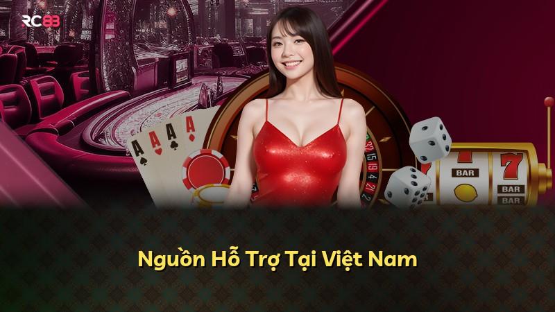 Nguồn Hỗ Trợ Tại Việt Nam