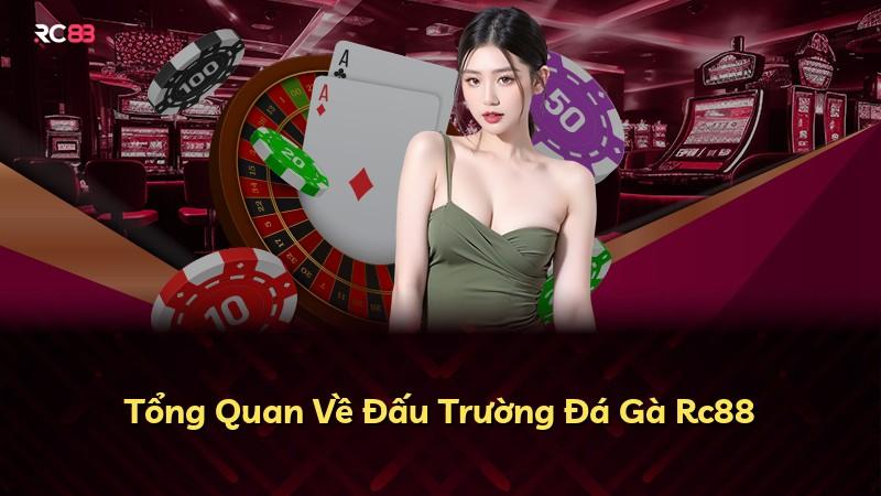 Tổng Quan Về Đấu Trường Đá Gà Rc88